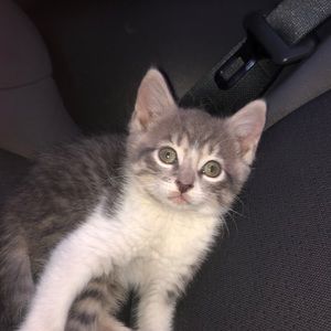 Meet your Posher, Madyson